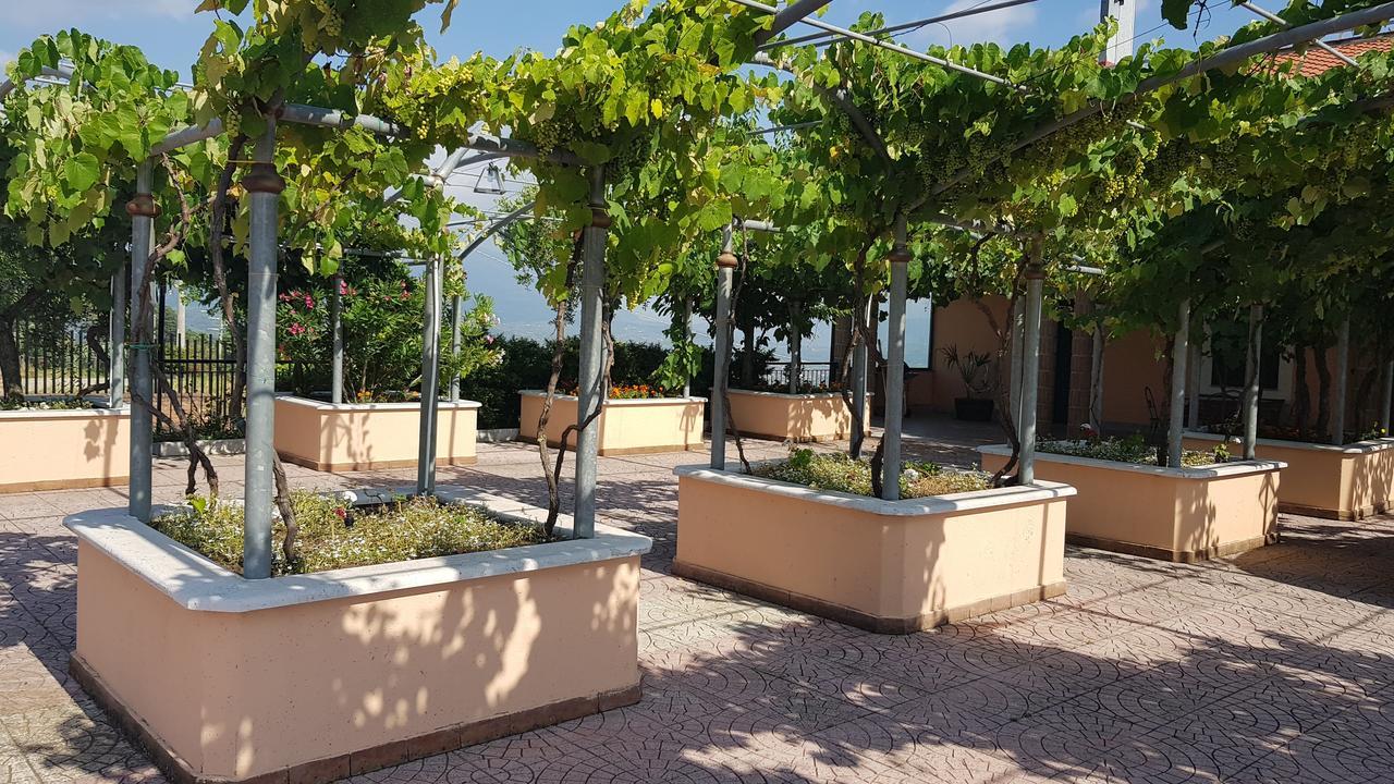 Lisandro Wine Resort Apartments Caserta Castel Campagnano Bagian luar foto