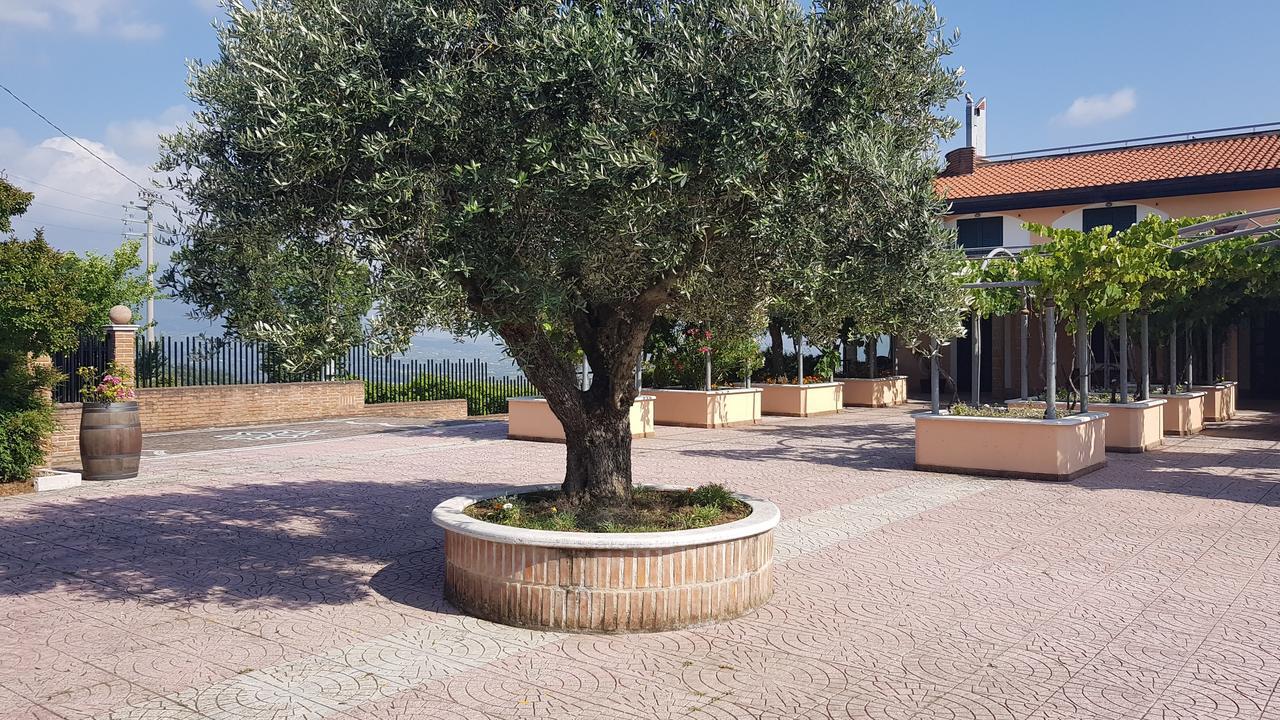 Lisandro Wine Resort Apartments Caserta Castel Campagnano Bagian luar foto