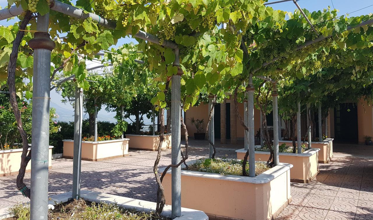 Lisandro Wine Resort Apartments Caserta Castel Campagnano Bagian luar foto