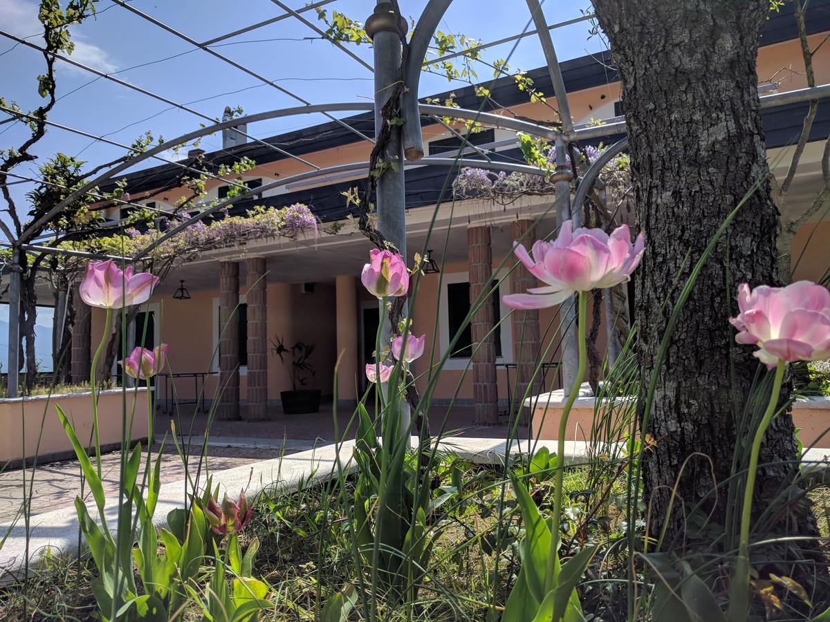 Lisandro Wine Resort Apartments Caserta Castel Campagnano Bagian luar foto